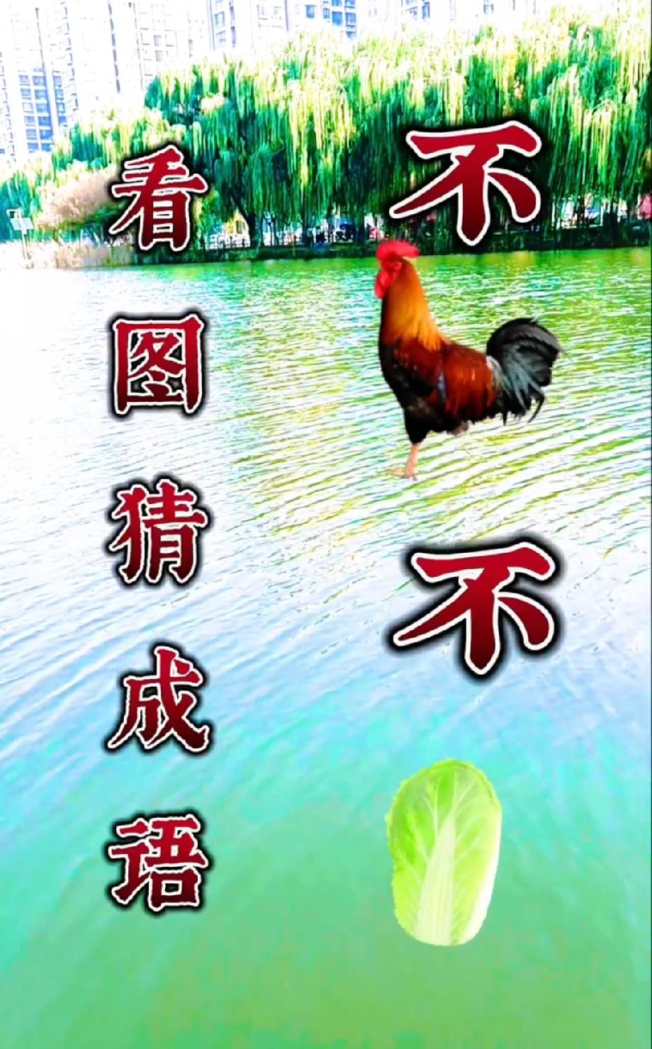 谁能秒懂？“不+不+鸡+白菜”藏啥成语？我赌80%的人第一反应绝对错，不服来战！