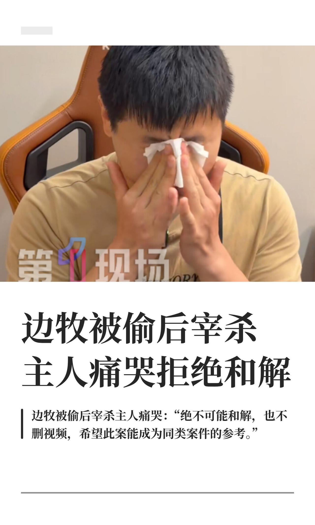 养了8年、百万粉的网红边牧"锄头"被人偷了当肉狗宰了——河南宁陵郭先生家这事儿真