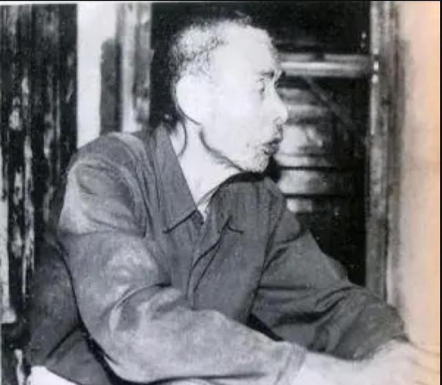 1996年李讷联系毛小青：让咱们毛家出个商人，不久毛小青辞职进京毛小青出生于