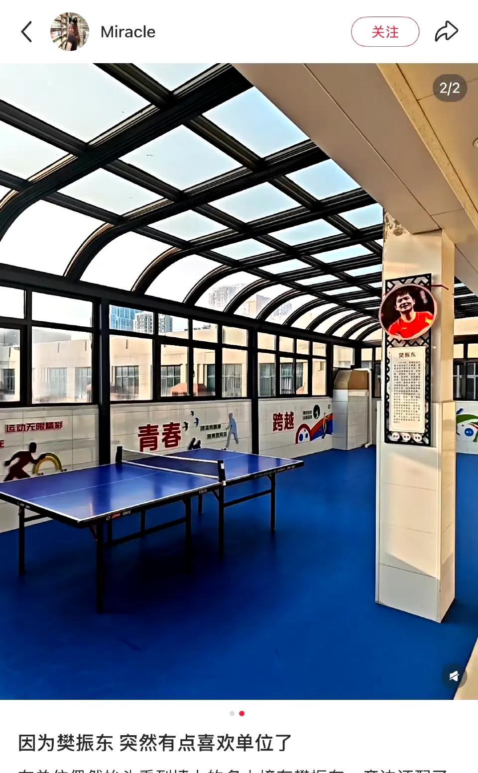 看了网友们晒的樊振东，突然发现生活处处都有东东啊。单位墙上名人榜有东东，乒乓球