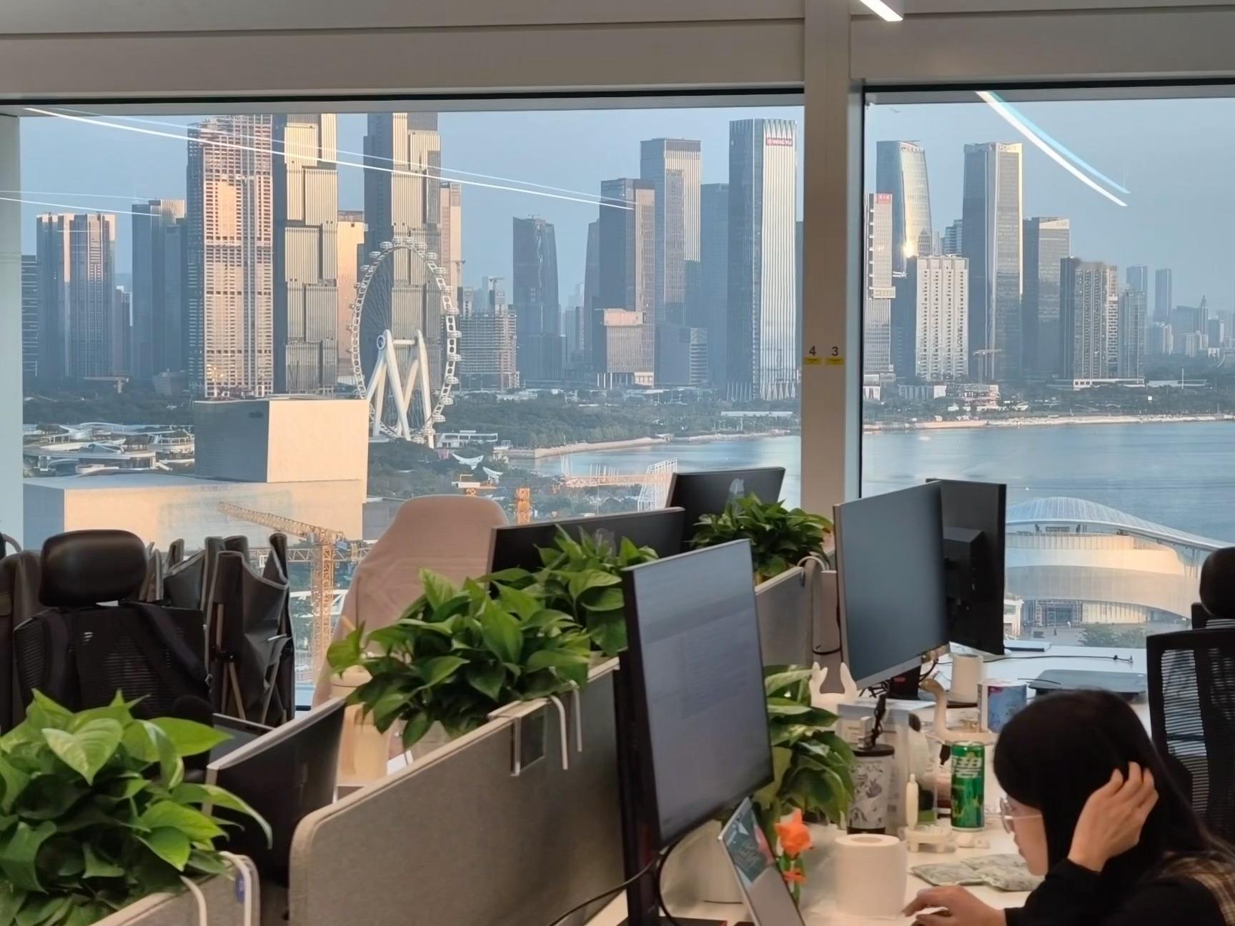 南街坊同款景观，这景观的层次的确可以啊深圳