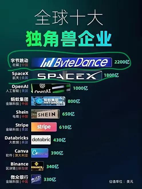 DeepSeek没上榜呀？世界前十大独角兽企业居然是它们！字节跳动排名这么高？太