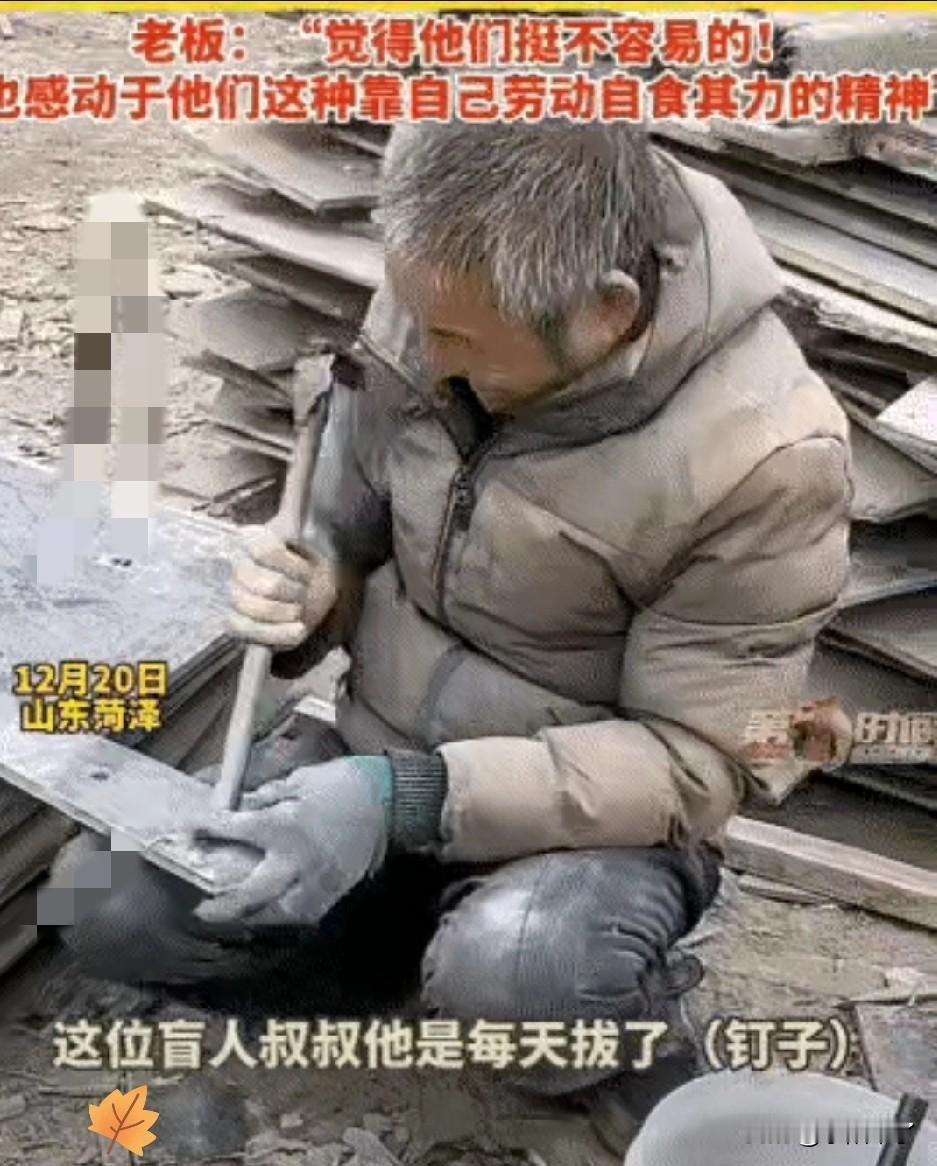 心酸！山东一80岁老母亲天天带着他5旬盲儿到木材厂做工，母亲每次都挑好拔的木板