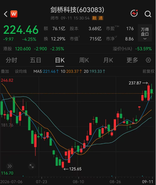 176家机构, “盯”上1家公司
