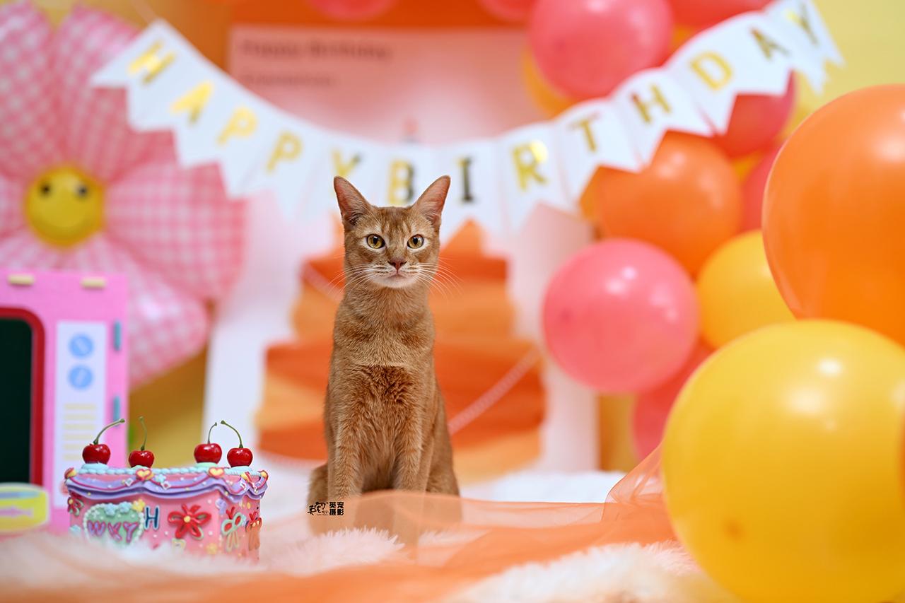 巨蟹座生日上新6月22日-7月22日第一个巨蟹座过生日的孩子出现啦～🥳