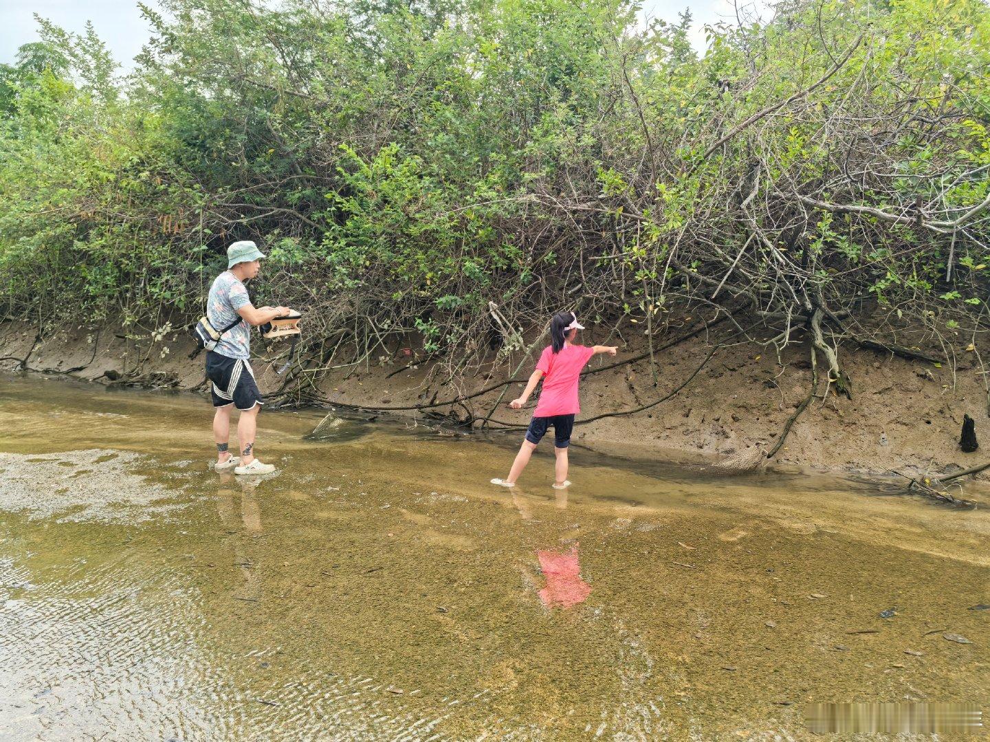 周六台山珠海半日游。中午出发，先到钦头湾，从旁边的入海小溪免票进场，发现岸边密密麻麻的西瓜蟹洞穴，还