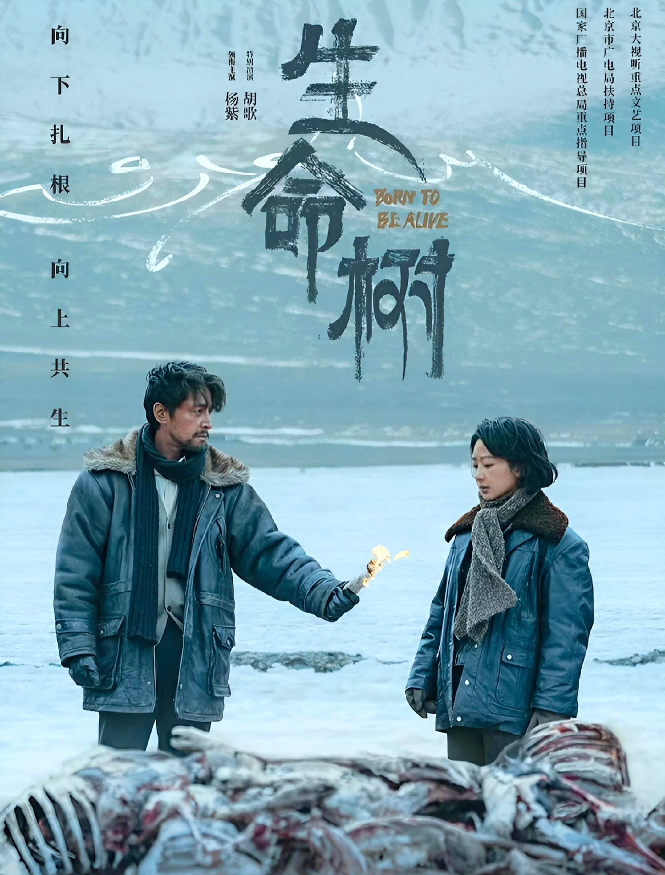 杨紫杨紫生命树白玉兰入围谁的青春里一直有杨紫😭从童星到实力派演员，一路稳扎稳