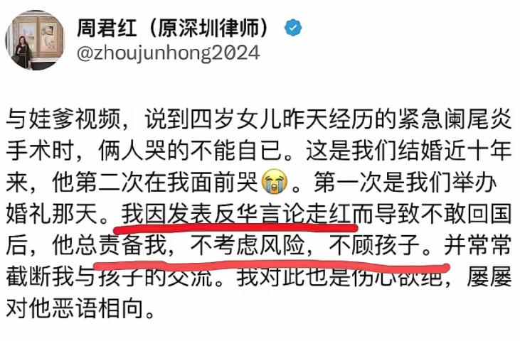 自作孽，不可活！曾经的律师周君红哭诉自己因为反华言论无法回国，可她并未得到同