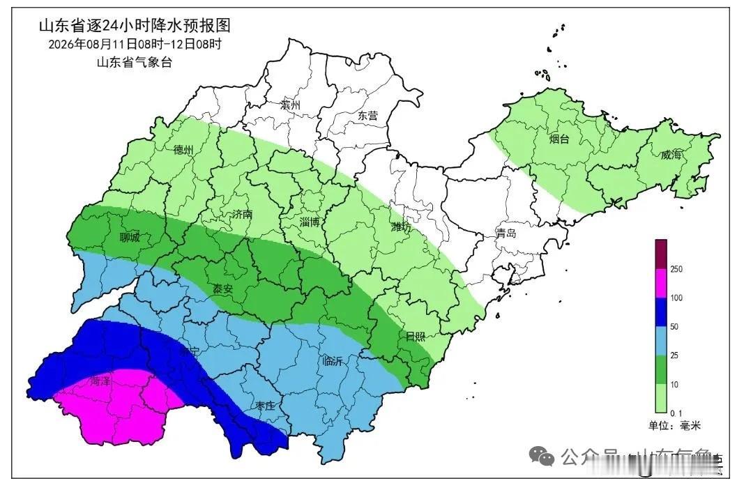 台风“白海豚”来了吗？看看山东省这个层次分明的气象图，今明两天山东省的降雨量简直