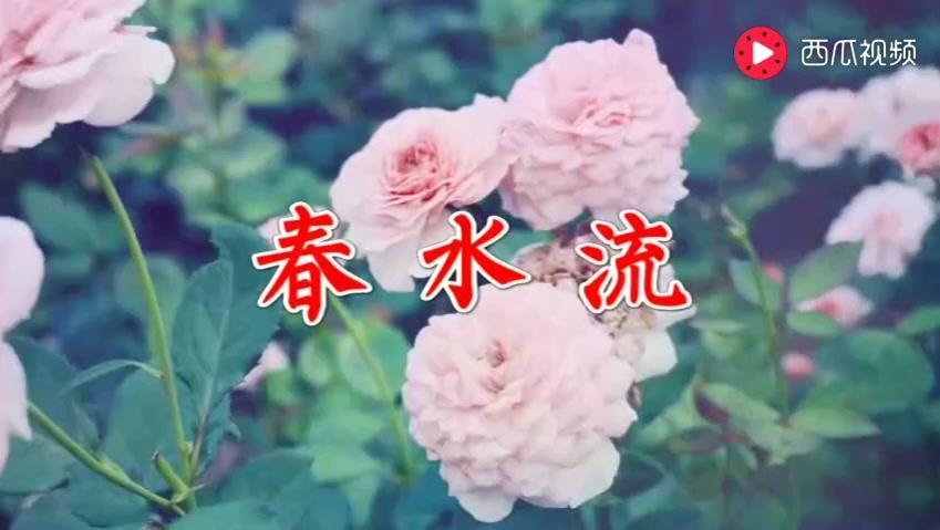 7757764234820269110.jpg?id=0
