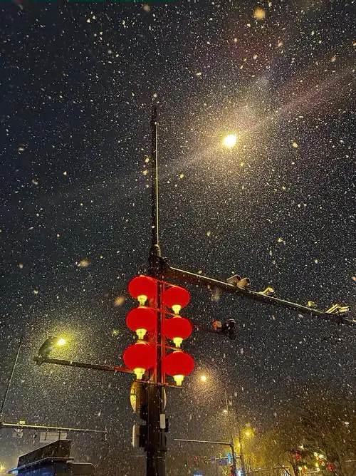 明月當空，繁星密佈，美麗夜晚景色迷人。
