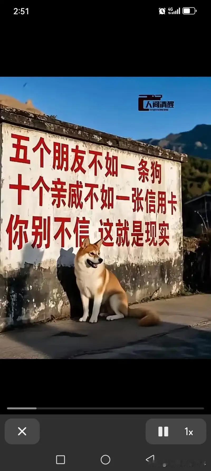 很现实的一段话：“五个朋友，不如一条狗忠诚；十个亲戚，不如一万块钱管用；一百个兄