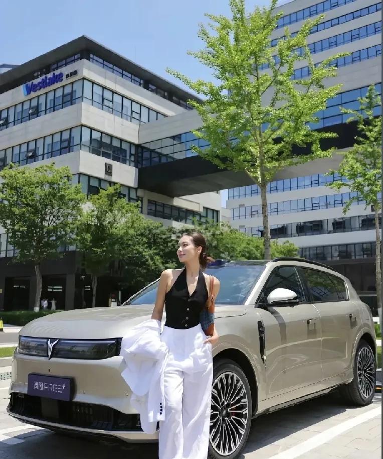 史上最拼CEO：岚图卢放，见过拼的，没见过这么拼的，拿命测试过关的车你还不敢买吗