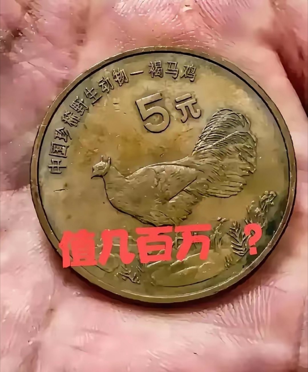 前几天搬家时发现了一枚5元硬币是纯铜的，跟我们的铜五角一个颜色。我和老婆都不懂它