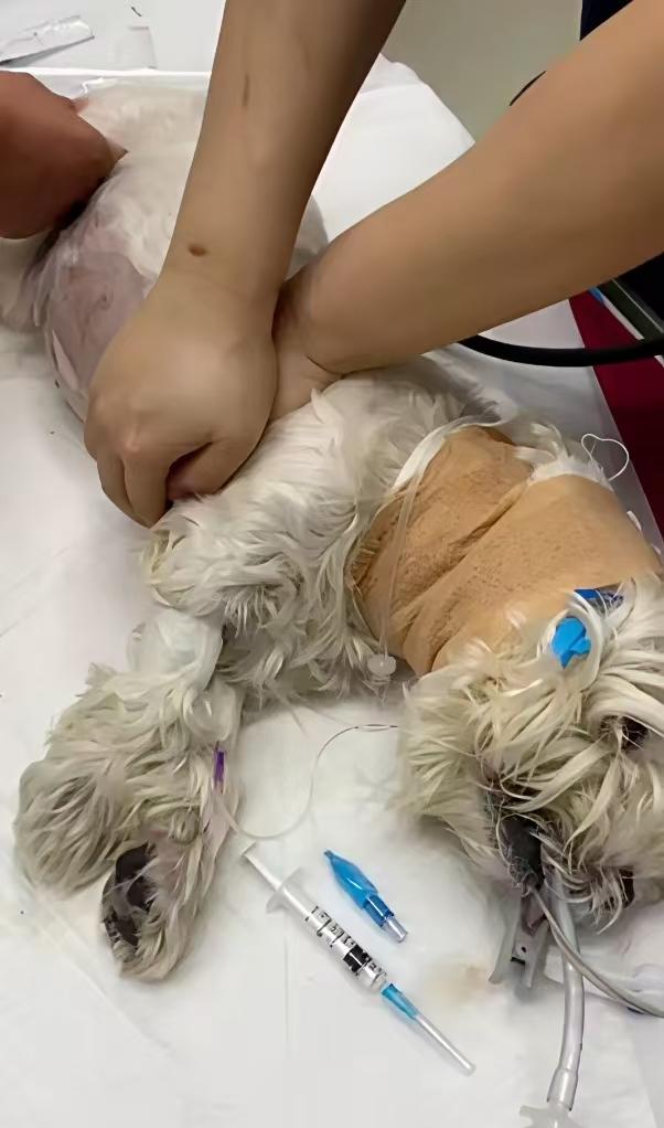 正义永远不会缺席，三年终于要宣判了。古有孟姜女哭长城，今有奇女子为亲儿子死磕三年