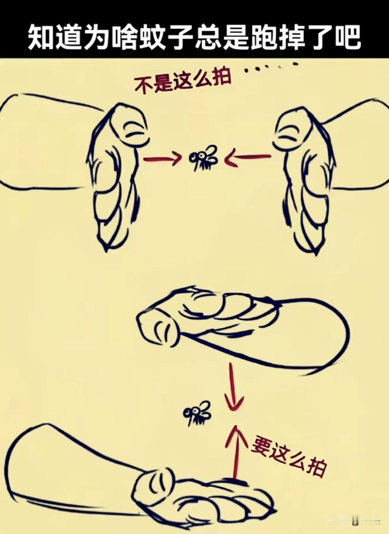 打蚊子是有技巧的