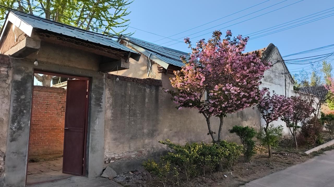 给母亲打了一个电话。母亲说，和了面，剁了胡萝卜肉馅的水饺，还擀了面棋子。傍晚