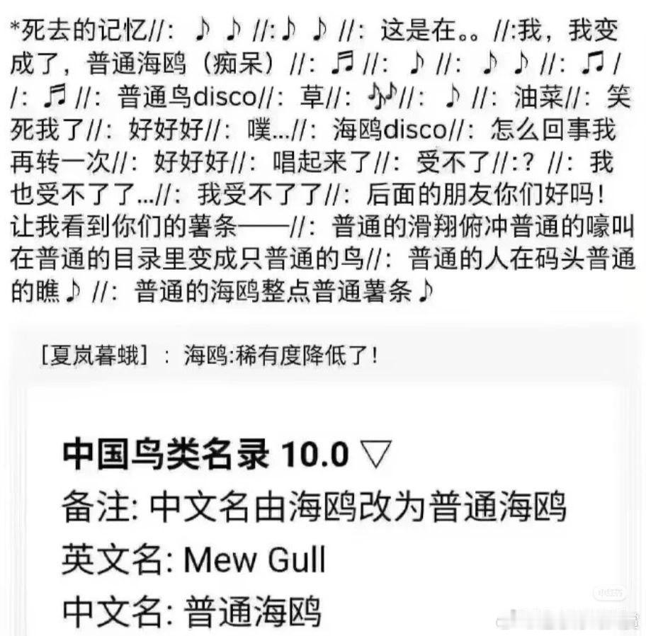 普通没什么不好呀