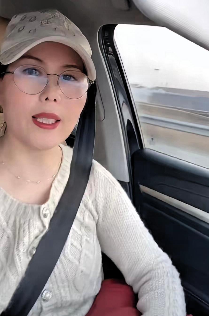 小杨阿姨走了，回河南老家了，回家过年了。孩子们放假后没多久，快过年了其实，具体