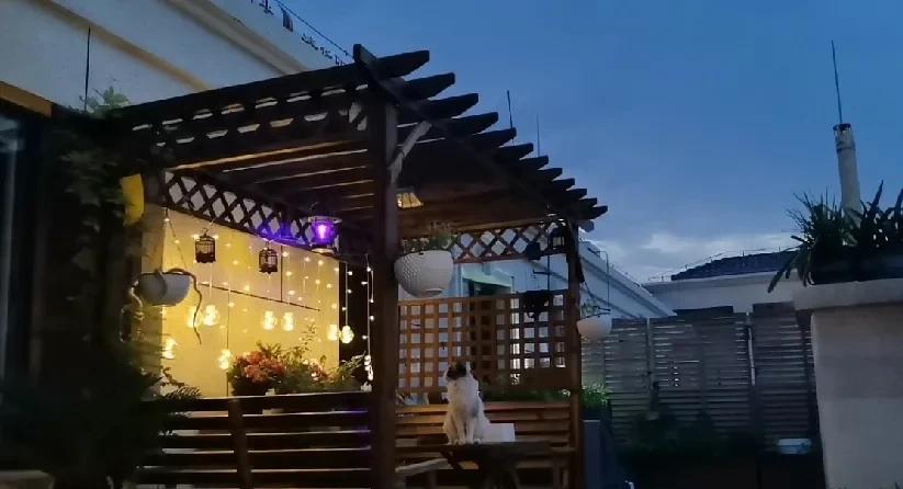 有网友调侃，禁酒令一出，都不敢去公共场合吃饭了！一出去吃饭，就暴露自己无业游民的
