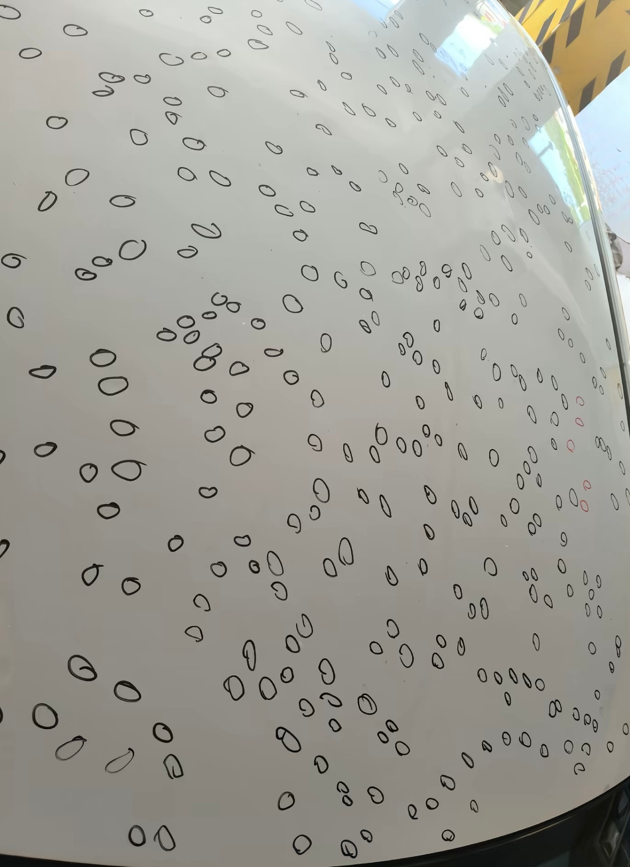 冰雹定损看上去太辛酸了……