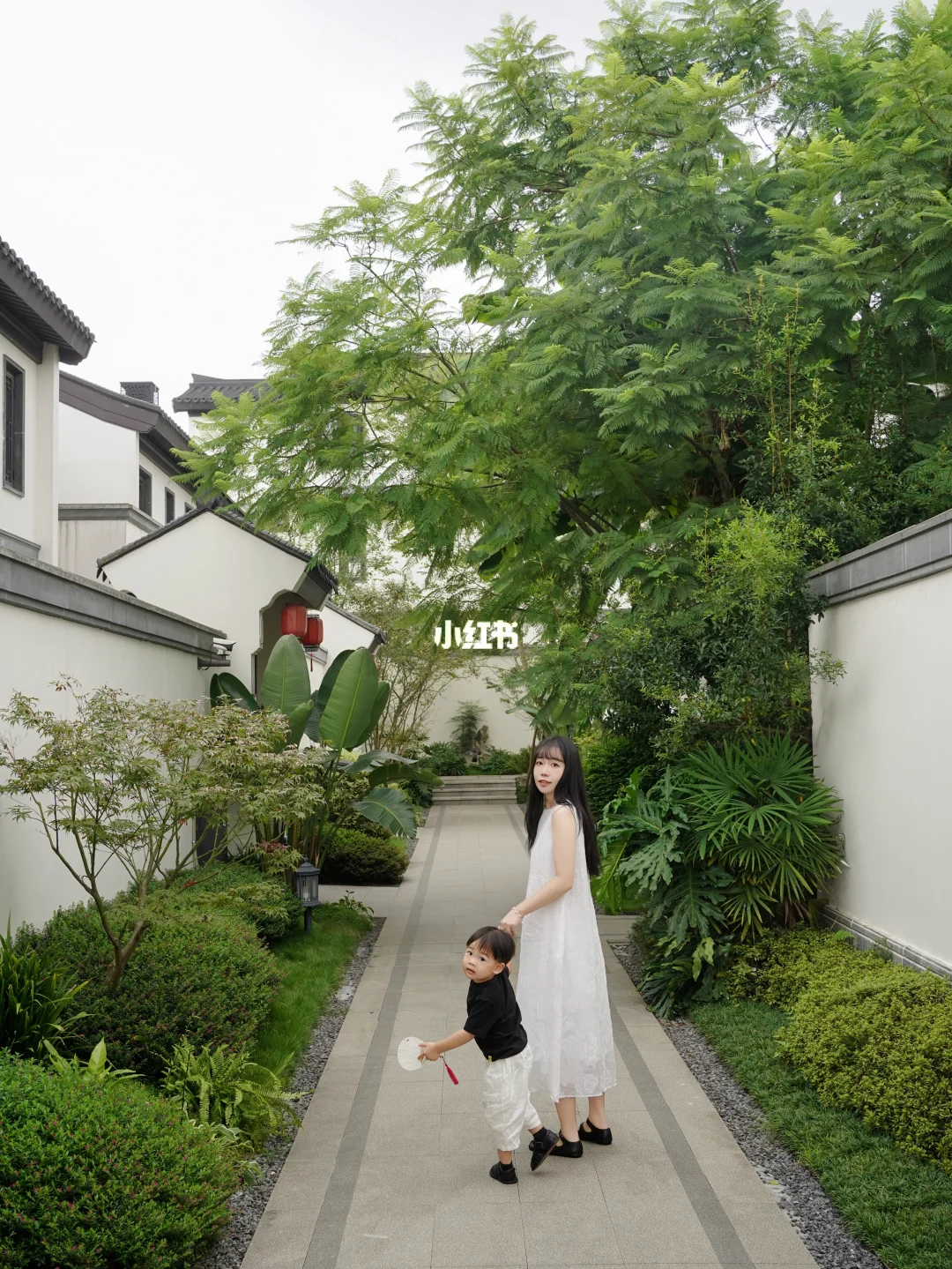 没想到,在青城山吃的这么好🏠