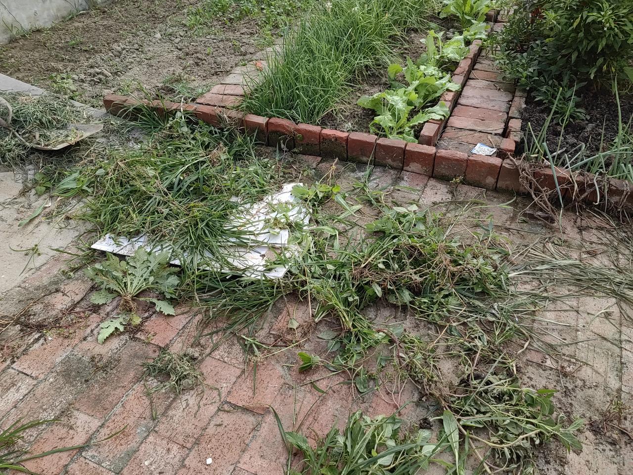 多好的房子也要有人住才行，如果长期没人居住就荒废了。我出去了三个多月，老伴出去