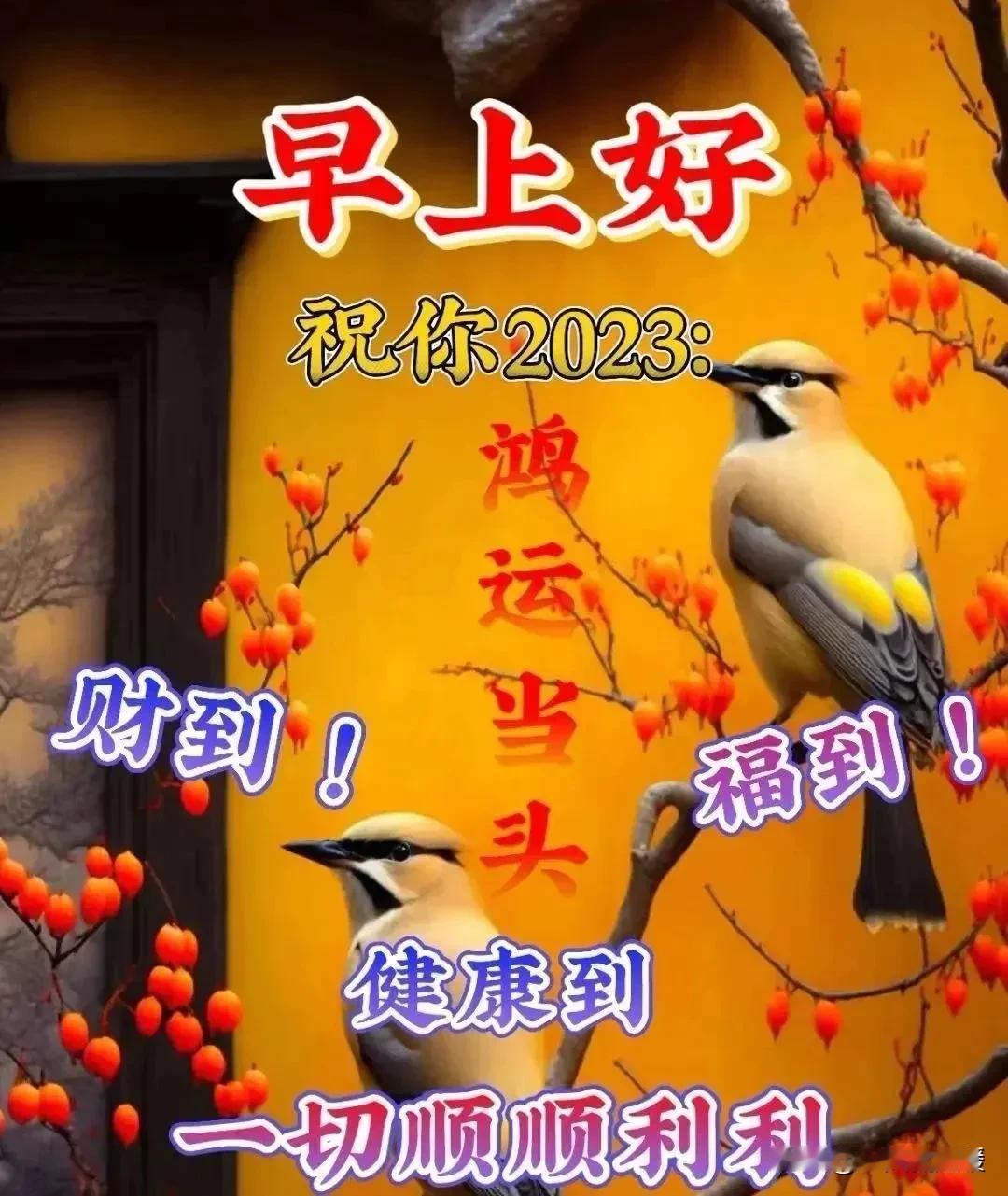 其实这份清晨的分享，从来不是我一个人的事。谢谢我的粉丝和友友们，总愿意停下片刻接