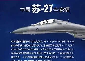 东大的苏27现役变种超过俄罗斯。东大至少有13个苏27的变种，如果算上歼11B