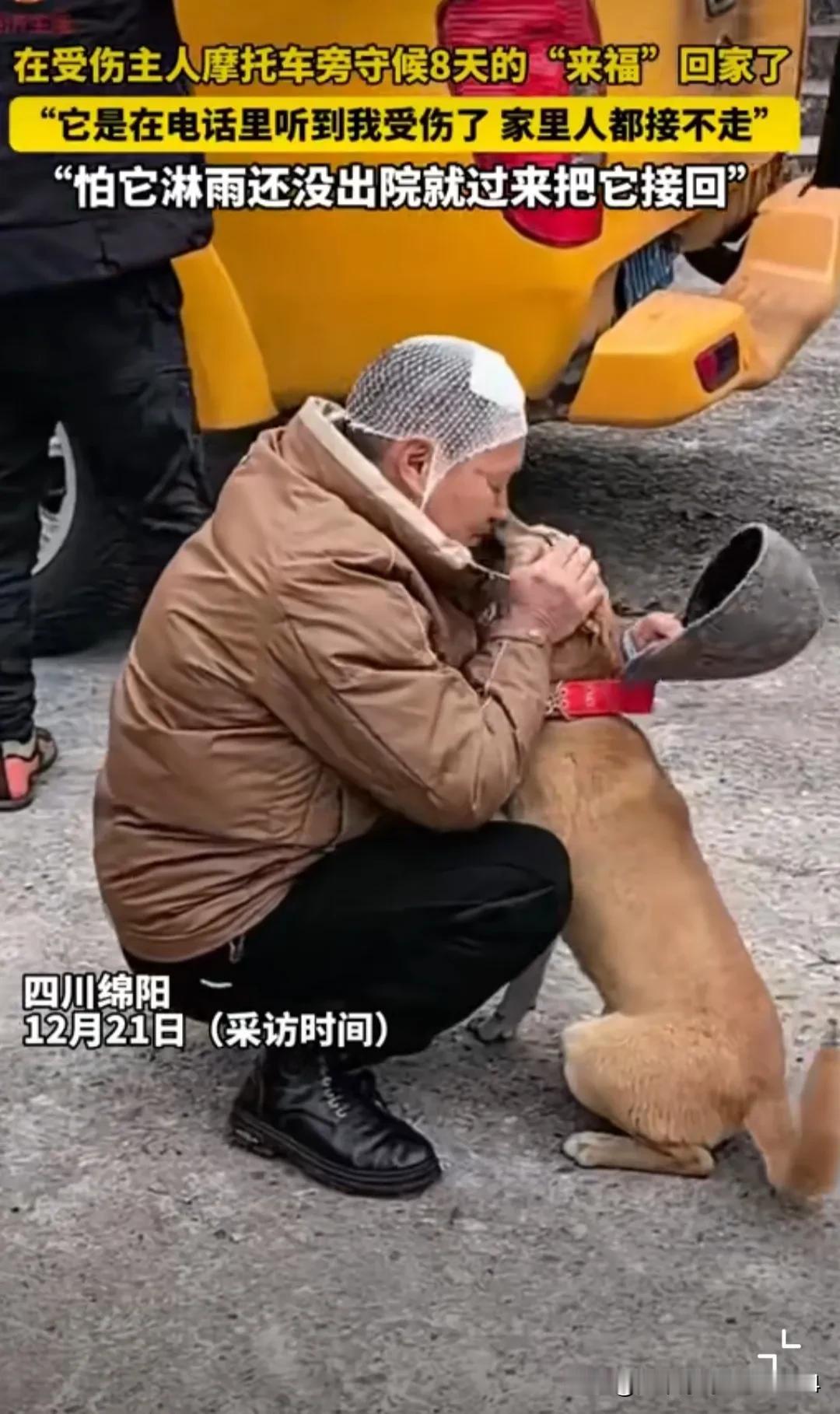 这也许就是我们养宠物狗的意义吧！四川绵阳，一大哥骑摩托车摔伤了头部住院。于是打电