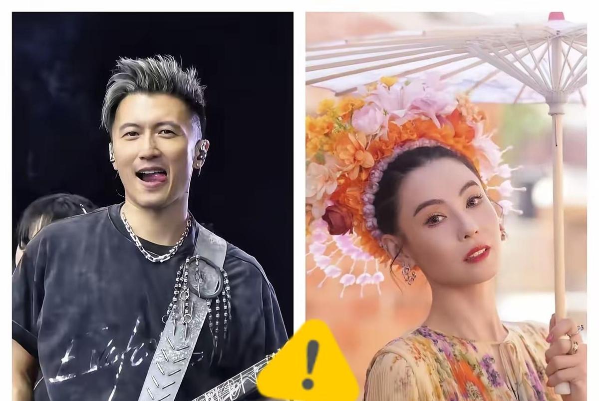 离婚后,张柏芝没哭没闹,把孩子养大了,还把综艺当成了自己的舞台。谢霆锋忙着卖烤