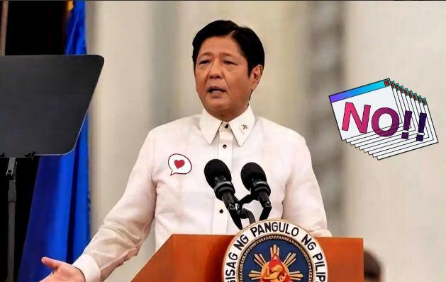 菲律宾正式宣布11月9日国家减灾委发了通报，台风“海鸥”造成的灾情真挺严重——