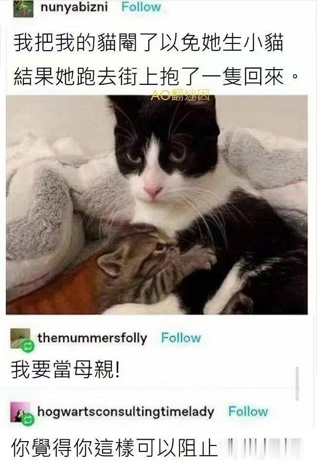 母性大爆发