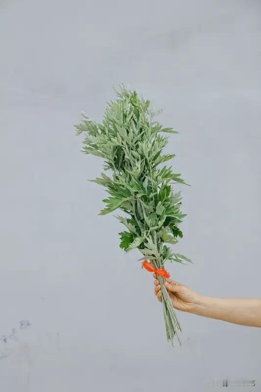 端午过了，艾草可没“下岗”。艾草有驱蚊作用，端午后蚊子猖獗，把艾草晒干制成艾草包