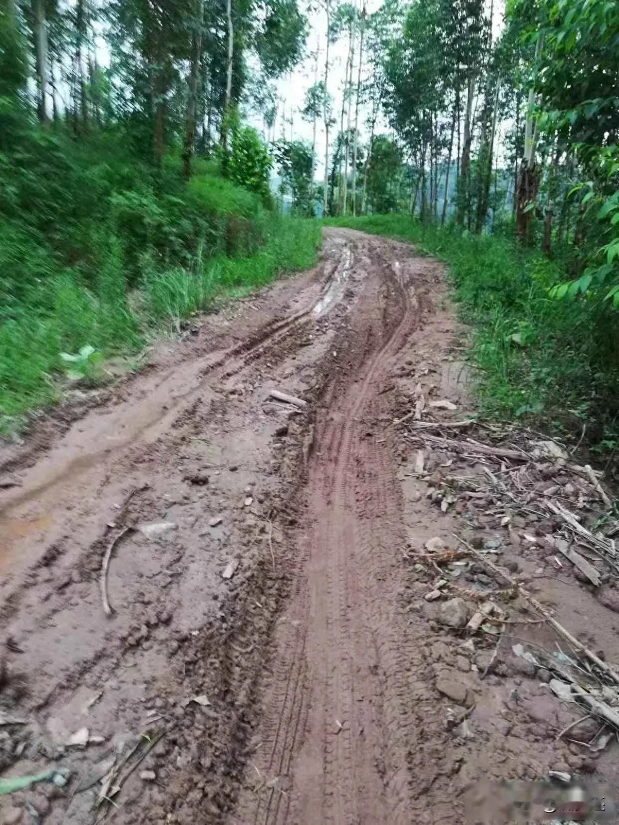 青龙村十年集资路，钱在账上不动，人等得心焦在四川宜宾叙州区赵场街道青龙村10
