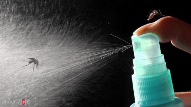 蚊子练出“抗药Buff”, 蚊子进化了吗? 中科院昆虫专家谈防蚊