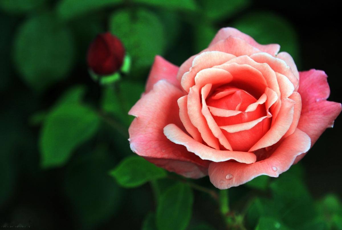 不管怎样，生活还是要继续向前走去。有的时候伤害和失败不见得是一件坏事，它会让你变