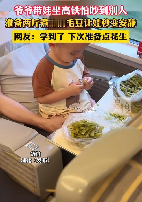 “人怎么能聪明到这地步！”湖北，一爷爷带着孙子乘坐高铁，因为怕孙子路上哭闹，影响