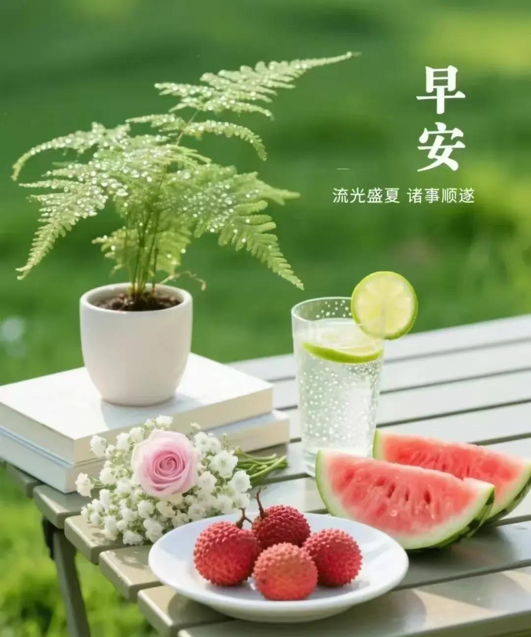 早上好，今天是6月30日星期一。女排世联赛阿灵顿站，中国女排先后对阵多米尼加