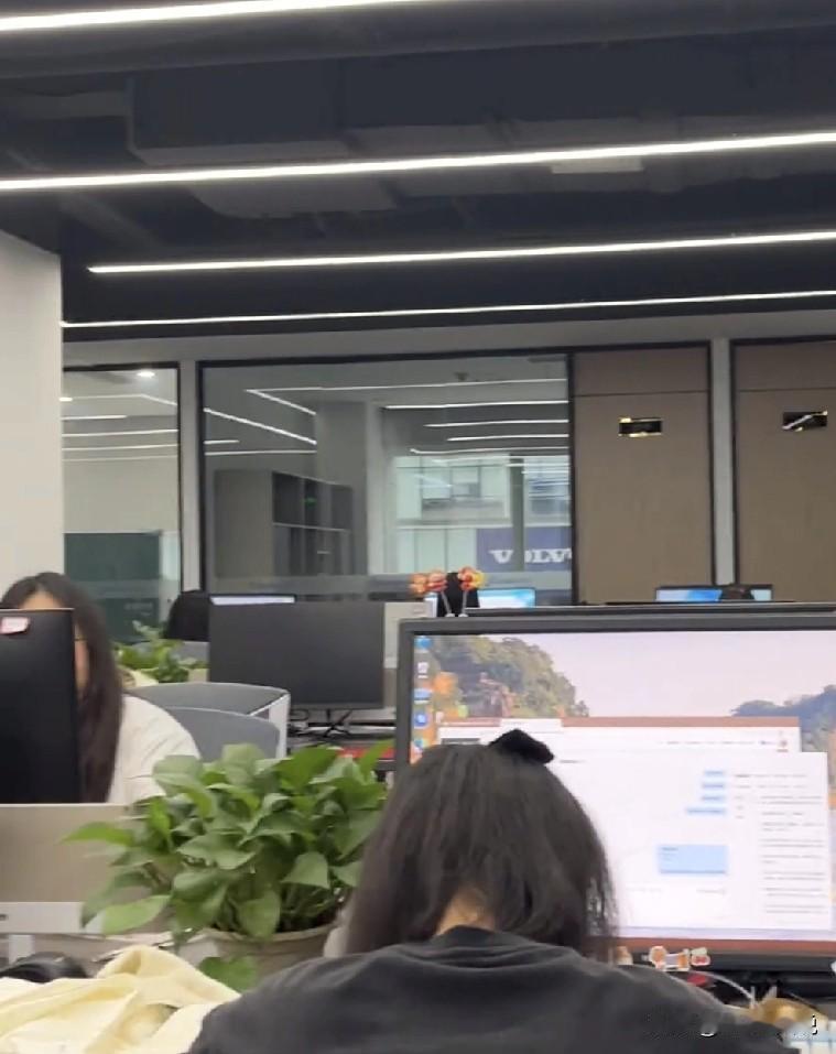 相信很多人都会有公司的便宜不占白不占的心理(当然我也如此)[捂脸哭]但是我还是劝大