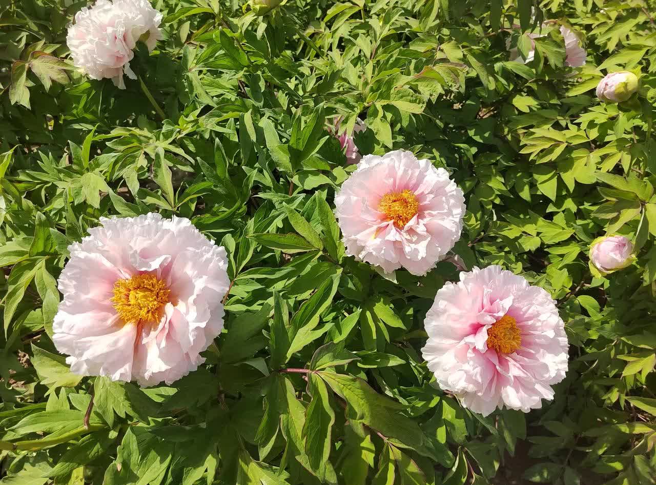 资本家让普通人花钱的逻辑误导了许多年轻人，作者强调在能挣钱的时候不要选择安逸，而