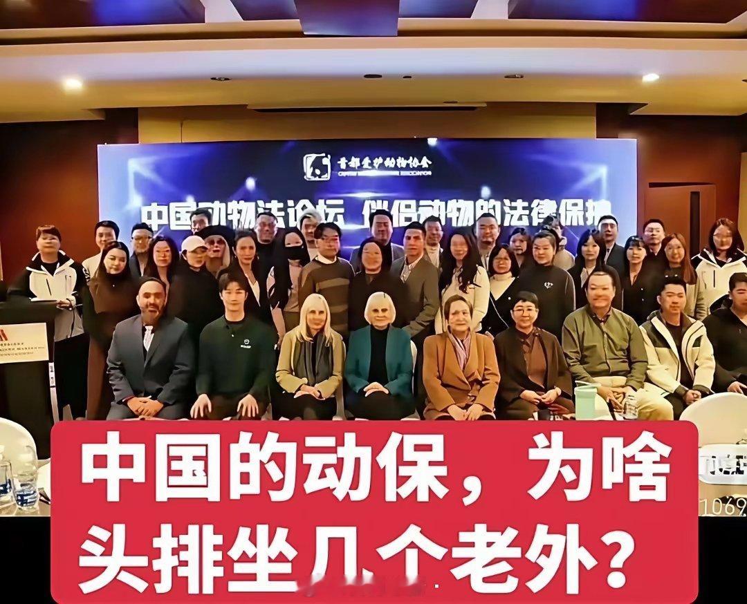 我一直特别好奇一件事:为什么中国的动保组织，每次合影的时候头排都坐着几个老外？你