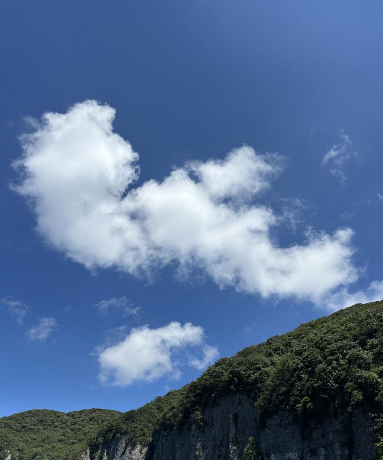 我有病！我为什么有病？！为什么我要站在金佛山山顶，一动不动吹着大风？为什么我像个