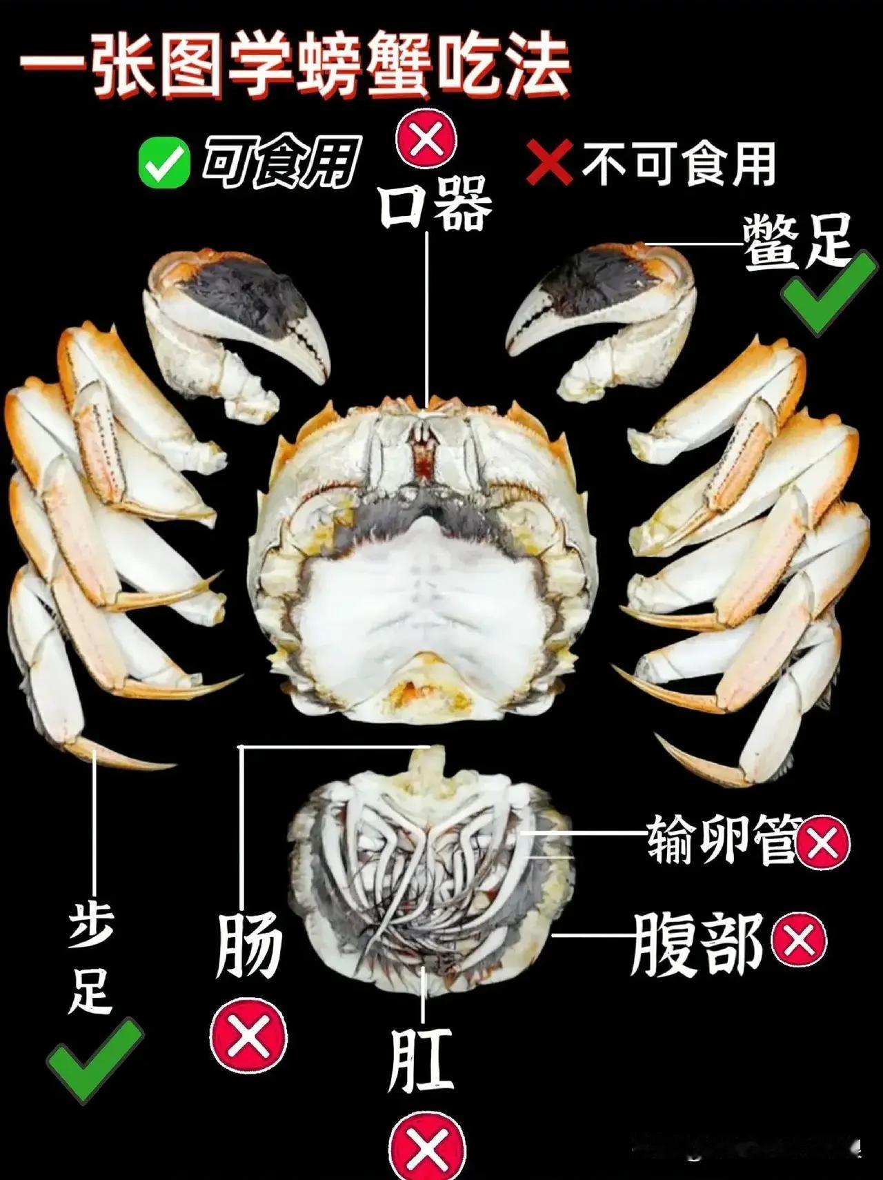 原来螃蟹有些部位不能吃哦