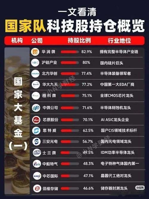 一季报刚披露完，我熬夜翻了十几份股东名单，发现一个特别有意思的事。你猜国家队把钱
