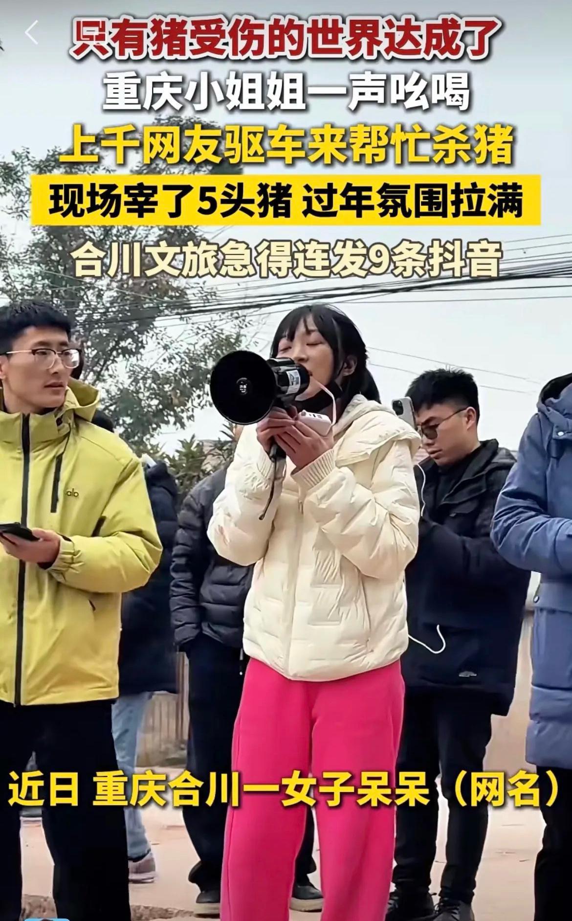 📢开幕雷击！重庆妹子网上求助按猪，竟引发200万人围观，结局太魔幻！🔥