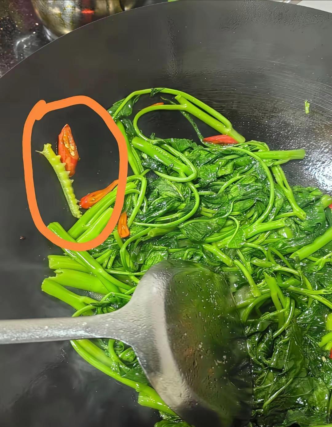 这怎么办还能要吗