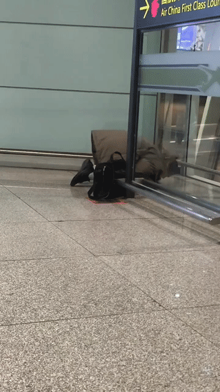 一名刚下飞机的外国人突然一脸严肃的走到机场角落里，面向一个方向非常虔诚的磕头跪拜
