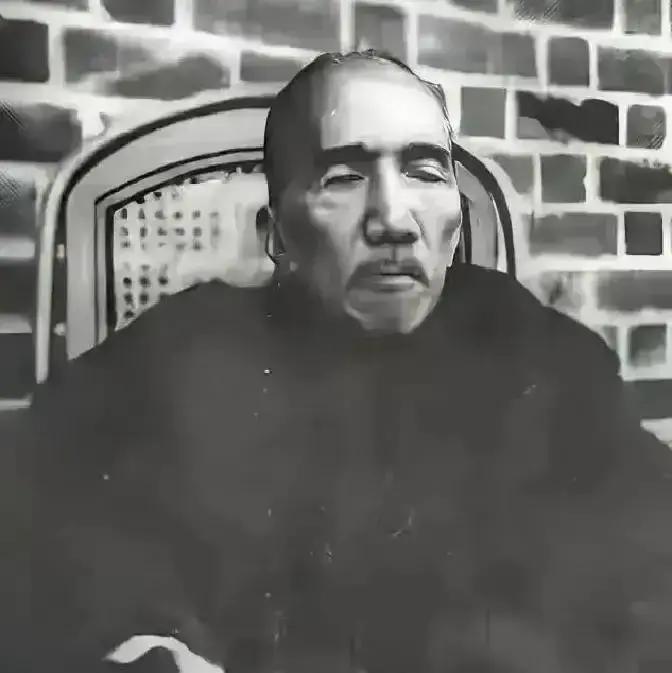 1941年香港沦陷，几个日本兵踹开陈寅恪家的门。几近失明的他，端坐椅上，一口纯正东京腔劈头盖脸一顿训