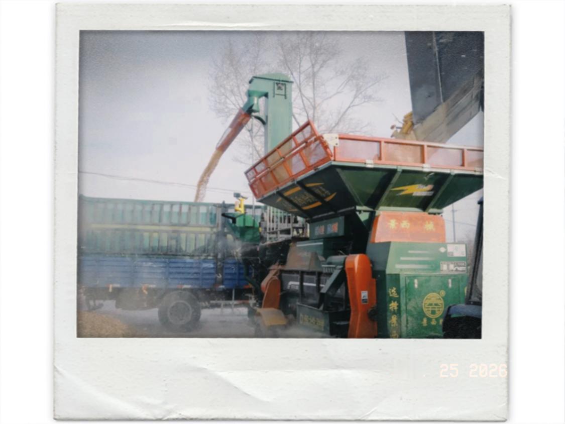 昨天我去烘干塔卖玉米，老板娘说出一个炸裂性新闻。她说一个经常往她那里送粮的粮